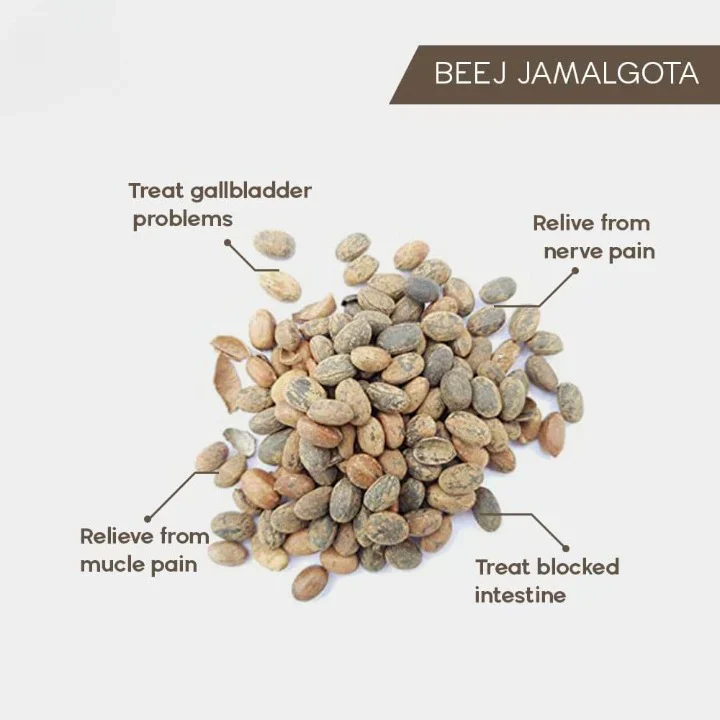 Jamalgota Ayurvedic Hair Growth Powder 100gm Each Pack of 2